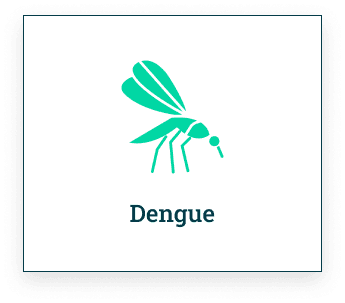 Dengue